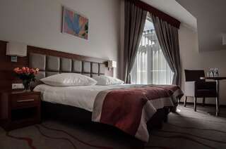 Отель Hotel Olivia Medical SPA Skomielna Czarna Двухместный номер с 1 кроватью и собственной ванной комнатой-1